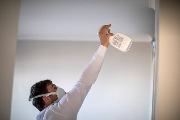 Best Mold Testing  in Lanham, MD