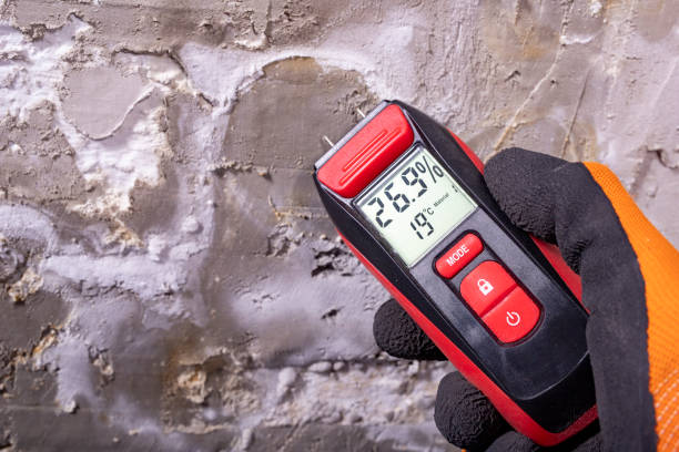 Best Mold Damage Repair  in Lanham, MD