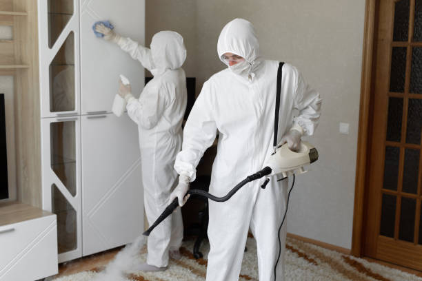 Best Black Mold Removal  in Lanham, MD